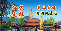 www.19HD江苏无锡灵山大佛旅游风景区