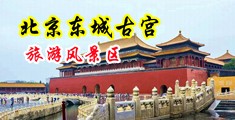 插高潮自拍中国北京-东城古宫旅游风景区
